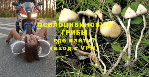 прущая мука Абаза