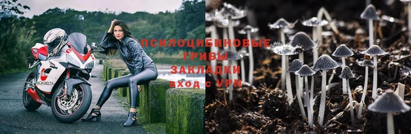 каннабис Покачи
