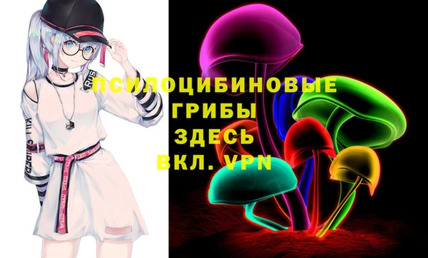 шишки Абинск