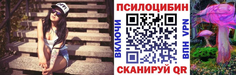 Галлюциногенные грибы Psilocybe  Алдан 